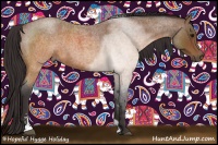 Horse Color:Buckskin Roan Sabino 