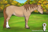 Horse Color:Red Dun 