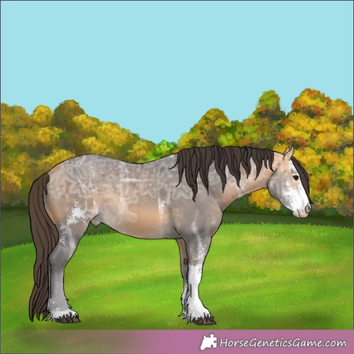 Horse Color: Buckskin Ice Sabino 