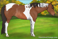 Horse Color:Bay Tobiano Rabicano