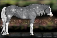 Horse Color:Silver Black Chinchilla Splash 