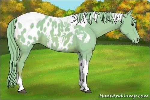 Horse Color: Watercolor Chestnut Tobiano Blanket 