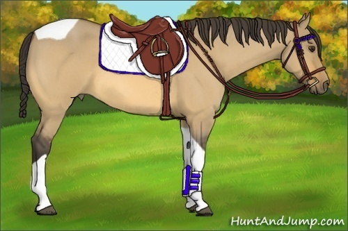 Horse Color:Buckskin Roan Dun Tobiano