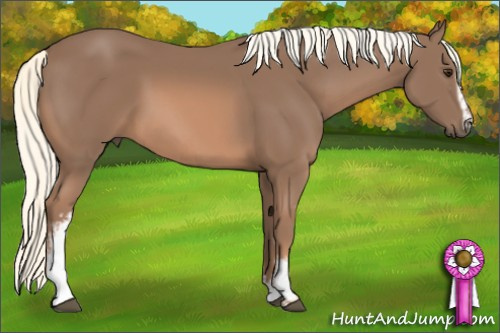 Horse Color: White Spotted Liver Chestnut Mushroom Sabino 