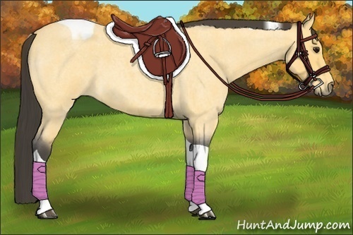 Horse Color:Buckskin Roan Tobiano