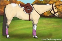 Horse Color:Buckskin Roan Tobiano 