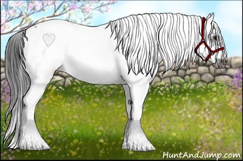 Horse Color:White Spotted Black Splash Frame 