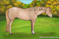 Horse Color:Red Roan Pearl 