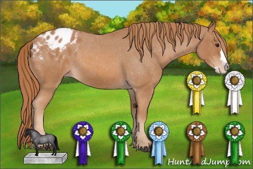 Horse Color: Red Roan Splash Blanket 