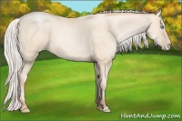 Horse Color:Silver Amber Cream Champagne Pearl 