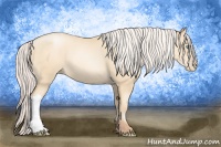 Horse Color:Silver Amber Cream Champagne Pearl 