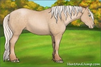 Horse Color:Silver Buckskin Pearl 
