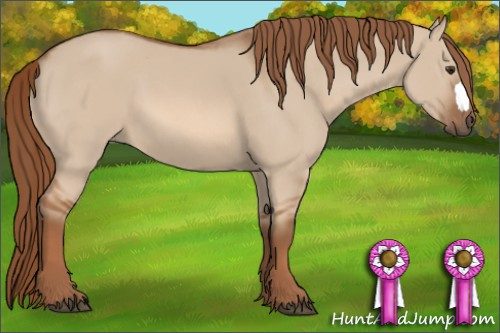 Horse Color: Red Dun 