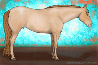 Horse Color:Bay Roan Pearl
