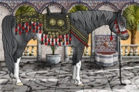 Horse Color:Brown Chinchilla Appaloosa Rabicano