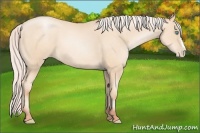 Horse Color:Silver Sable Cream Champagne Pearl