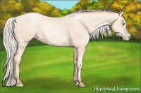 Horse Color:Silver Amber Cream Champagne Pearl 