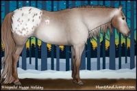 Horse Color:Gray Chestnut Appaloosa 