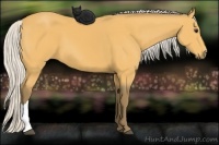 Horse Color:Silver Buckskin 