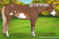 Horse Color:Chestnut Frame