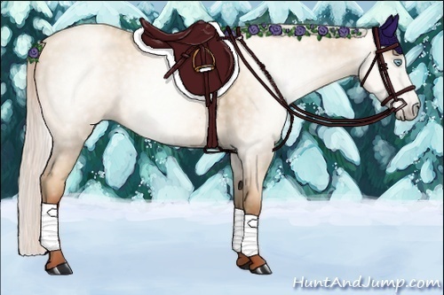 Horse Color:Gray Silver Sable Cream Champagne Pearl 