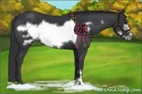 Horse Color:Black Frame 