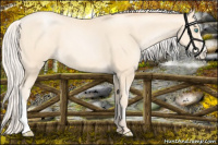 Horse Color:Silver Amber Cream Champagne Pearl 