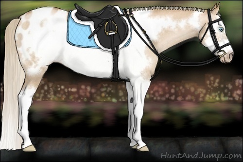 Horse Color:Gray Palomino Roan Pearl Dun Splash Frame Blanket Rabicano