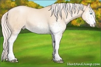 Horse Color:White Spotted Silver Sable Cream Champagne Pearl Sabino 