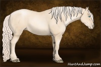 Horse Color:Gold Cream Champagne Pearl 