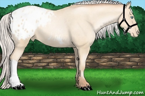 Horse Color: Silver Classic Cream Champagne Pearl Blanket 