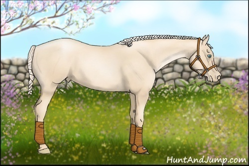 Horse Color:Gold Cream Champagne Pearl
