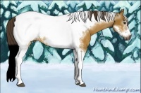 Horse Color:Gray Buckskin Dun Tobiano Frame Snowcap 
