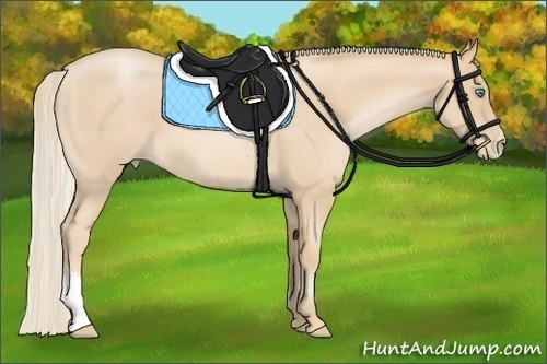 Horse Color:Palomino Pearl