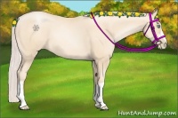 Horse Color:Silver Amber Cream Champagne Pearl 