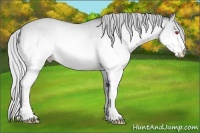 Horse Color:Silver Amber Champagne Chinchilla Dun Splash 