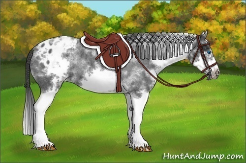 Horse Color:White Spotted Blue Roan Splash Frame Varnish 