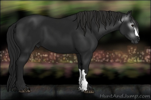 Horse Color:Gray Black 