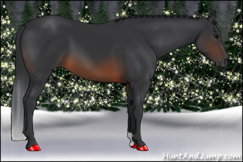 Horse Color: Brown 