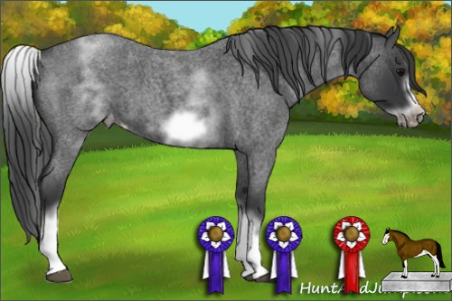Horse Color: White Spotted Blue Roan Splash Frame Varnish 