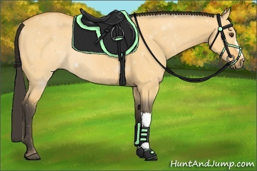 Horse Color:Buckskin Dun 