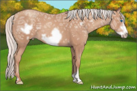 Horse Color:Silver Sable Champagne Ice Frame 