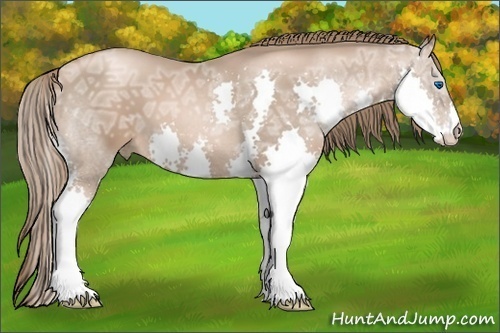 Horse Color: Liver Chestnut Ice Pearl Splash 