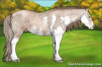 Horse Color:Liver Chestnut Ice Pearl Splash
