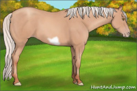 Horse Color:Silver Amber Champagne Frame 