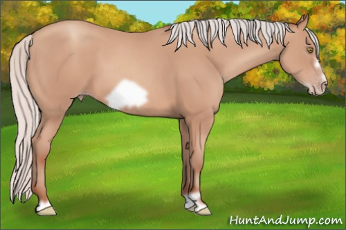 Horse Color: Silver Amber Champagne Frame 