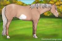 Horse Color:Silver Amber Champagne Frame 