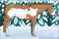 Horse Color:Chestnut Frame