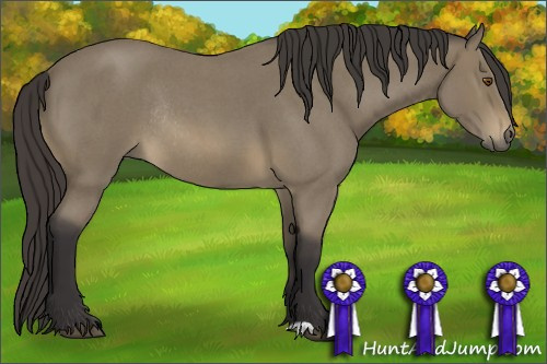 Horse Color: Buckskin Roan Mushroom Rabicano 