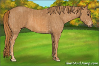 Horse Color:Chestnut  Brindle
